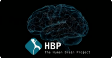 Human Brain Project